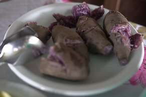 POUSADA DA DRI LODGE