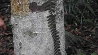 POUSADA DA DRI LODGE