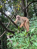 POUSADA DA DRI LODGE