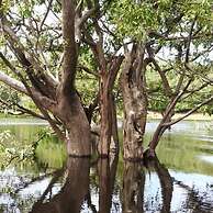 POUSADA DA DRI LODGE