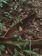 POUSADA DA DRI LODGE