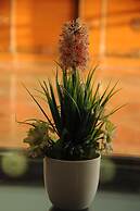 Daksh The Madhuvan Suites Dwarka