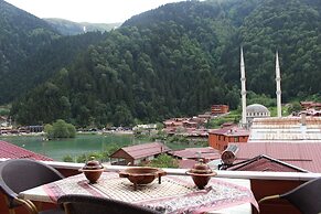 Uzungol Adiloglu Apart