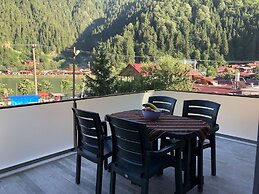 Uzungol Adiloglu Apart