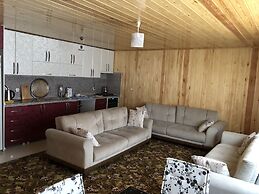 Uzungol Adiloglu Apart