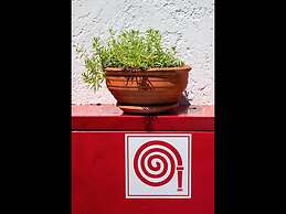 Apartments With Garden View No12