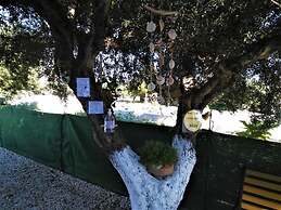 Apartments With Garden View No12