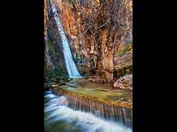 Apartments With Garden View No12