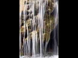 Apartments With Garden View No12