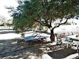 Studio With sea View