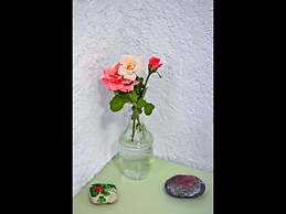 Studio With sea View