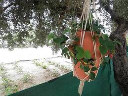 Studio With sea View