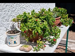 Studio With sea View