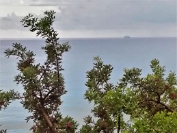 Studio With sea View