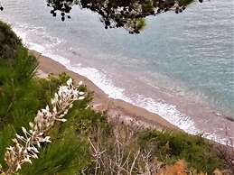 Studio With sea View