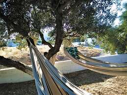 Apartments With sea View