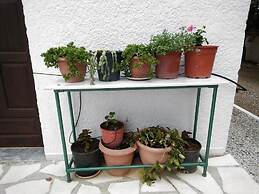 Apartments With sea View