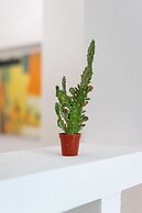 Ostraco Luxury Suite