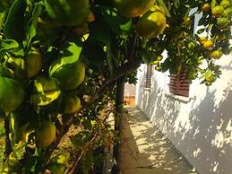 Schöne Ferienwohnung mit Terrasse, Roses
