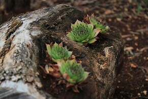 Sea View Apartment Orhideja, Sleeps 4