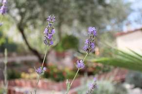 Sea View Apartment Ruza, Sleeps 4