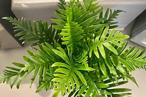 Spacious Flat in Birmingham City - Free Parking