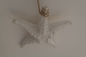 2 Bedroom Penthouse with Parking