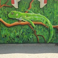 Cozy Home Under the Sun, With Swimmingpool