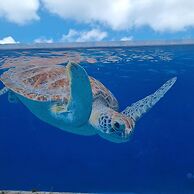 Cozy Home Under the Sun, With Swimmingpool