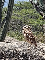 Cozy Home Under the Sun, With Swimmingpool