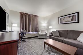 Cobblestone Inn & Suites-Fremont