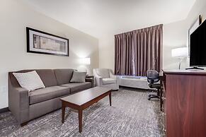 Cobblestone Inn & Suites-Fremont