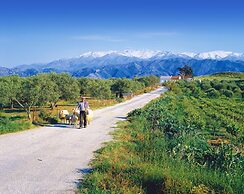 Villa Asteriskos in Apokoronos