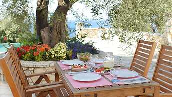 Monodendri Blue in Paxi