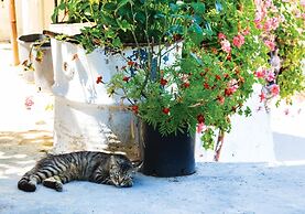 Loutsa Villa in Ithaki