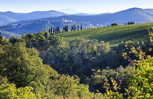 Colto Dei Pallanti in Radda in Chianti