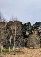 Luxury 2 Bedroom Caravan in Stunning Location