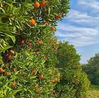 Dream Town Hotel & Restaurant