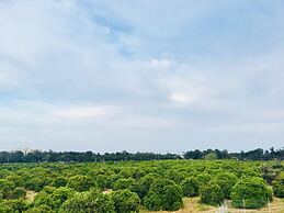 Dream Town Hotel & Restaurant