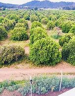 Dream Town Hotel & Restaurant