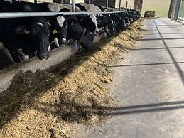 Pension Wittgensteiner Schweiz