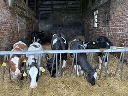 Pension Wittgensteiner Schweiz