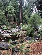 Sierra Inn on the River