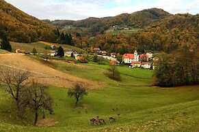 Old House Knezovo With Lovely View