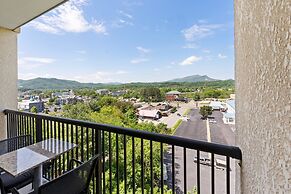 A Bear's Hibernation 1 Bedroom Condo by RedAwning