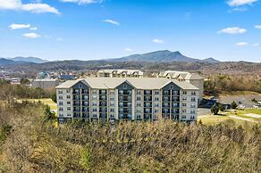 A Bear's Hibernation 1 Bedroom Condo by RedAwning