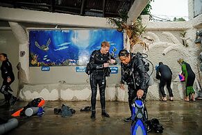 Garden of Eden Dive Resort