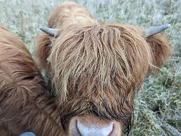 Achmeney Glamping Pod Larger Than Average Pod