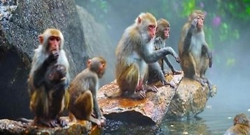 Hyatt Regency Hainan Ocean Paradise Resort