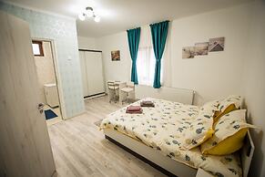 Stunning 5 Bed House in Campulung Moldovenesc